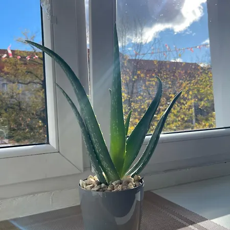 Appartement Citylight