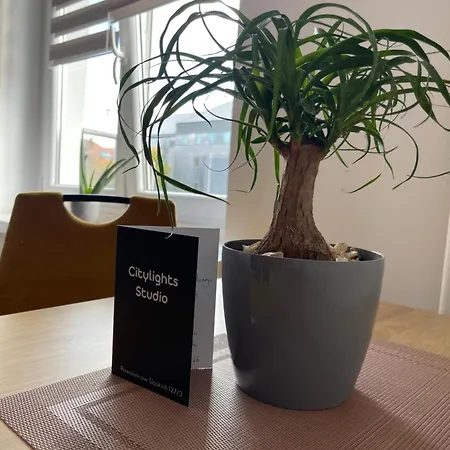 Citylight Apartman
